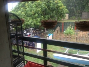 20130125-143543.jpg